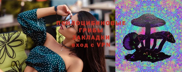 твердый Кукмор