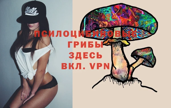 спайс Кулебаки