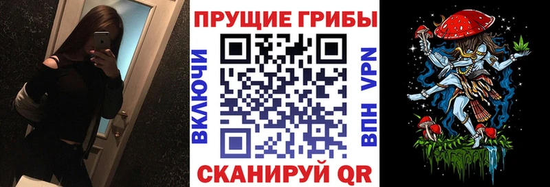 это наркотические препараты  Новомосковск  Галлюциногенные грибы прущие грибы  сколько стоит 